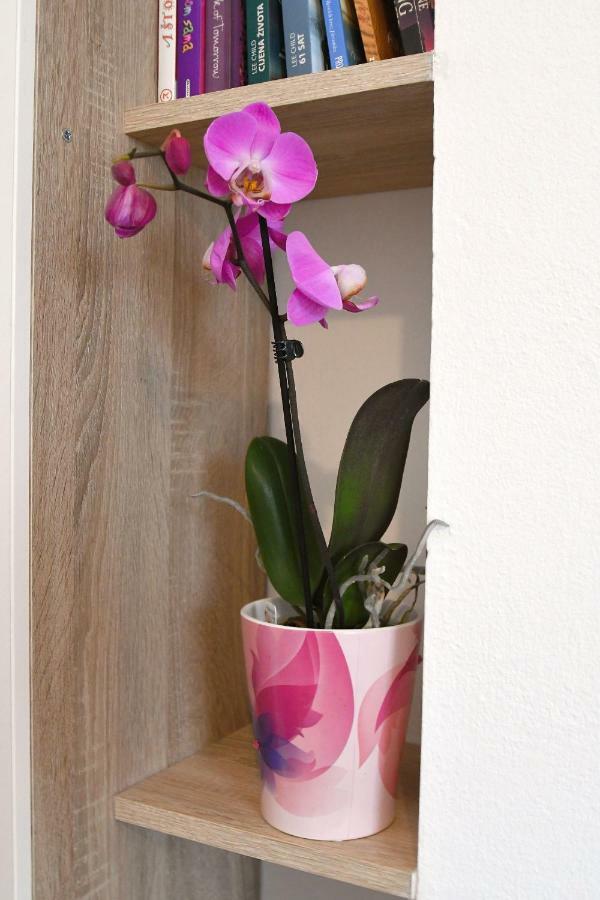Marinici  Studio Apartman Kris מראה חיצוני תמונה